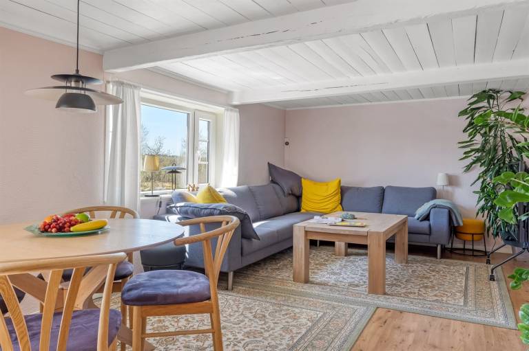 Ferienhaus  Læsø