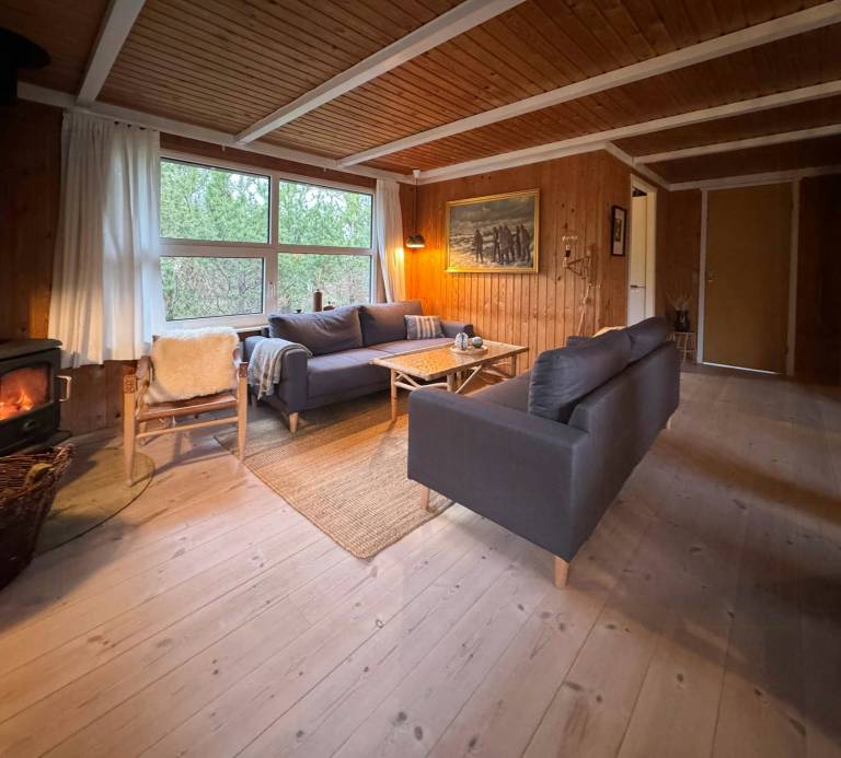 Ferienhaus  Aalbæk