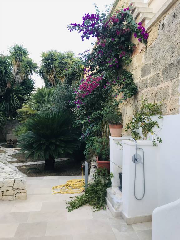 Vacation home with yard — photo 3