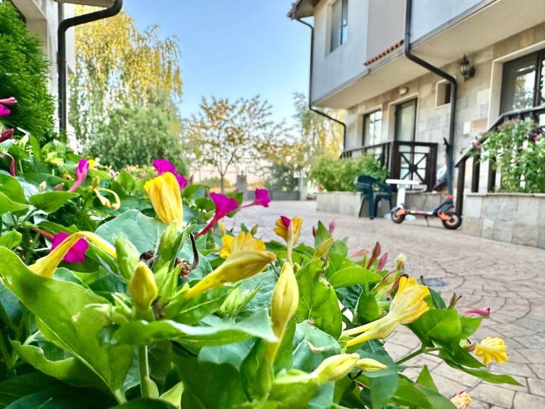 foto43