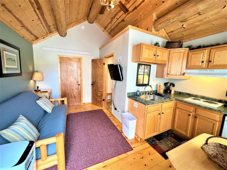 Cabin Custer