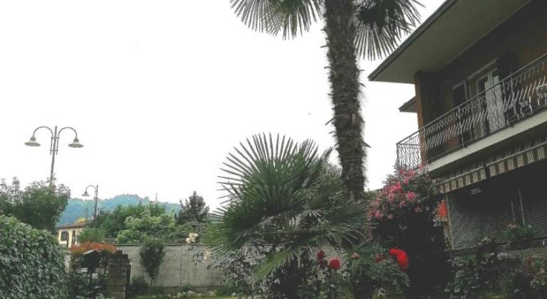 foto11