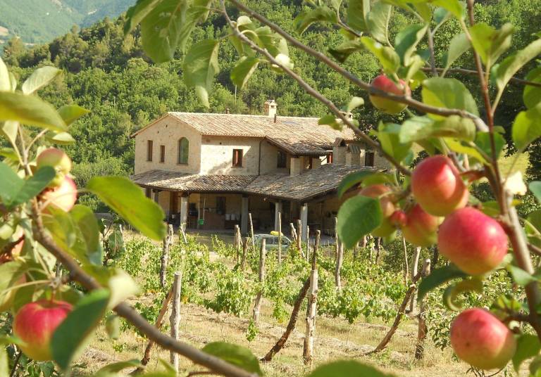 Appartamento Preci