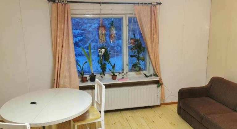Pleasant apartment | Pets are welcome — photo 2
