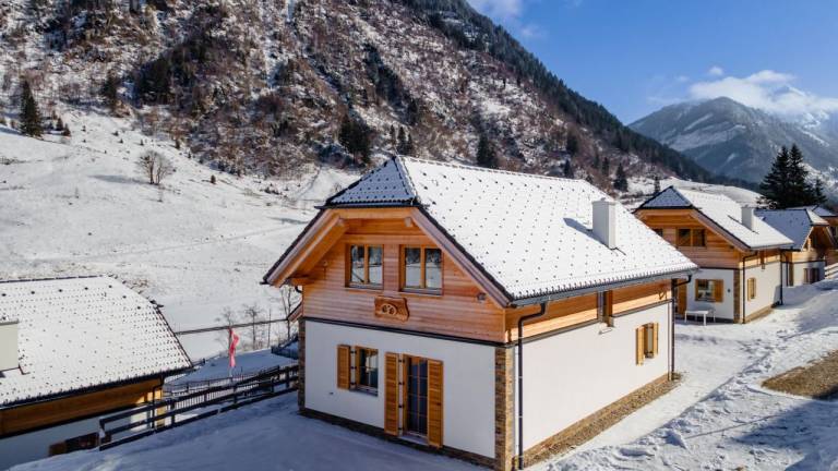 Ferienhaus  Donnersbachwald