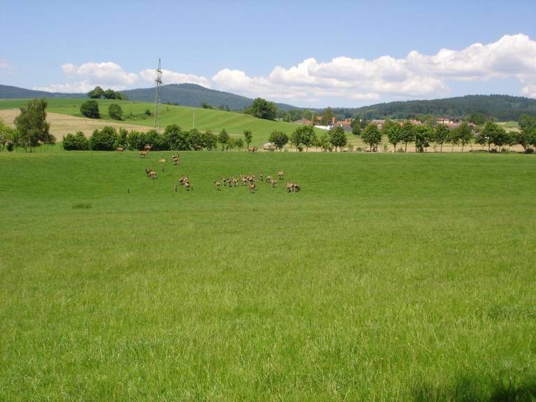 foto15