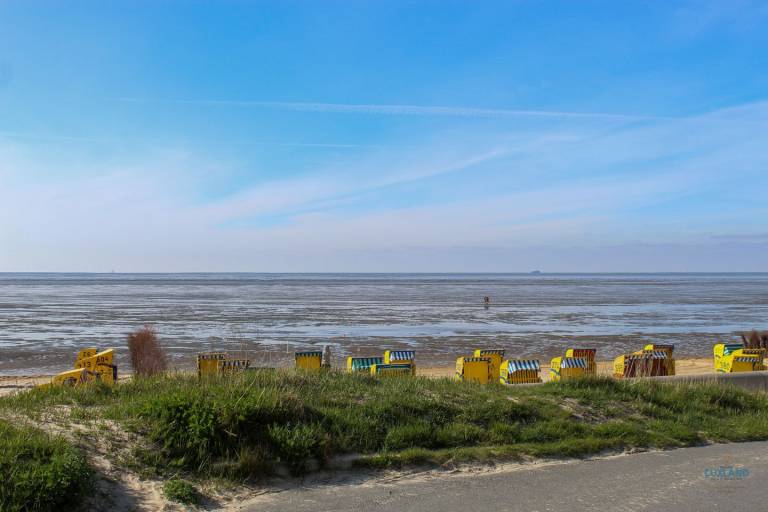 foto17