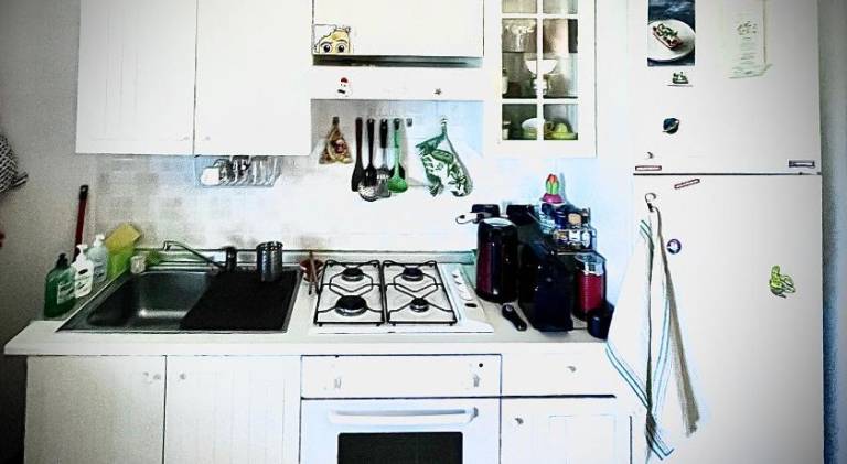 Beautiful rental apartment | Pet-friendly — photo 5
