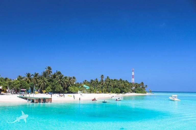 Accommodatie Fulidhoo