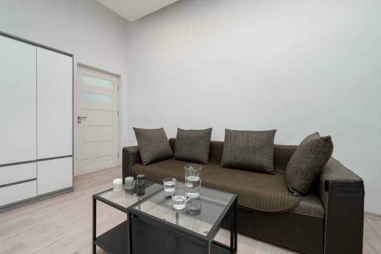 Apartament typu studio Brzeziny