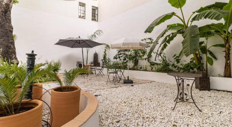 Apartment with yard & terrace | Near Alcázar of Jerez de la Frontera | Good for workation | Pets allowed — photo 4