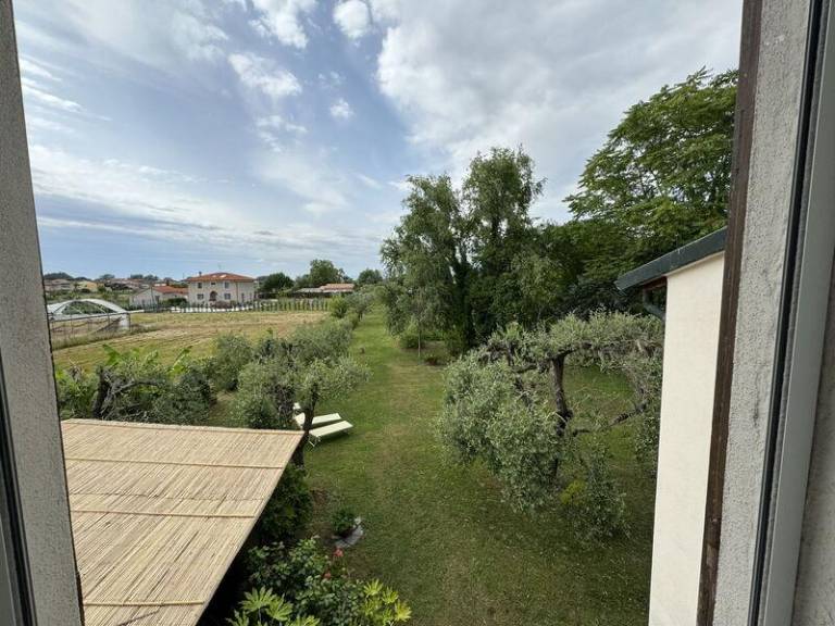 foto47