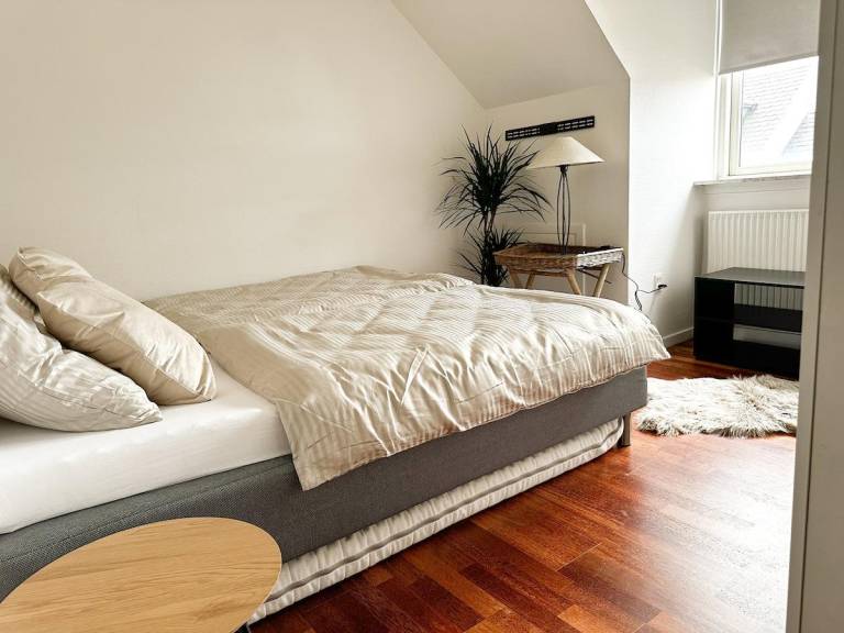 Fully equipped rental apartment | Dogs allowed — photo 2