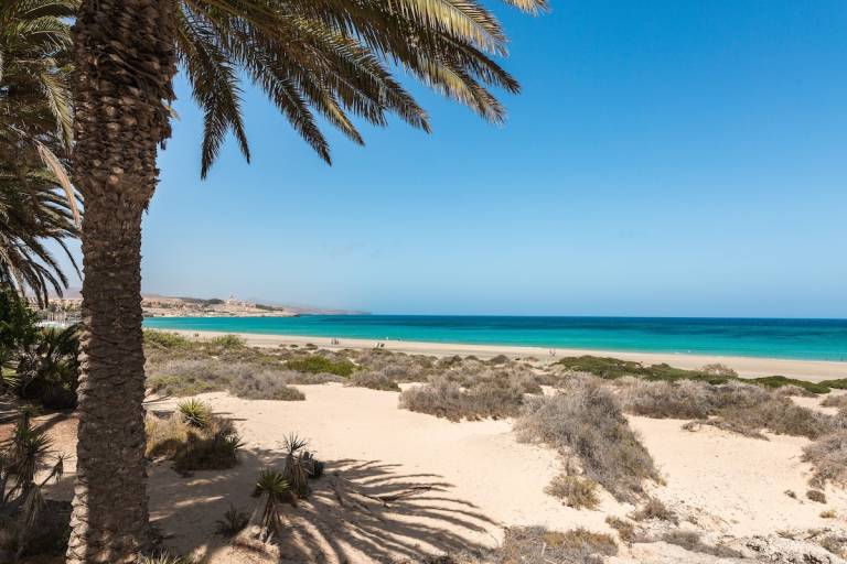 Ferienwohnung Corralejo