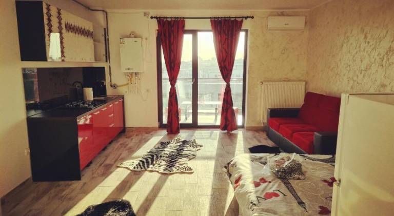 Nice holiday apartment | Next to the beach | Dogs allowed in Constanta