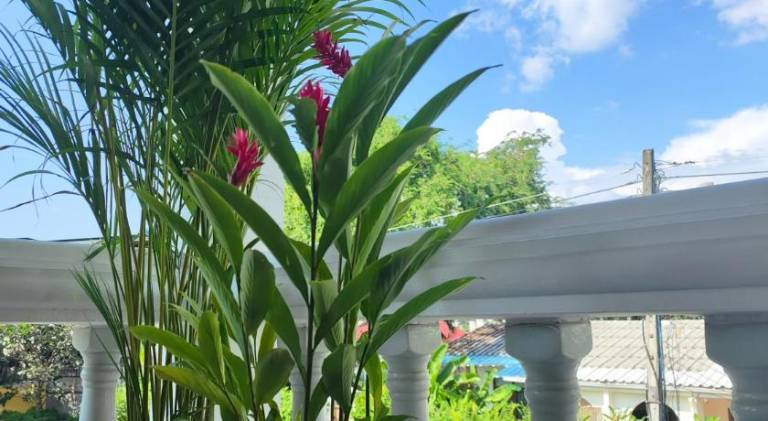 Wonderful villa with jacuzzi, garden & patio | Next to Wat Suan Dok | Pets allowed — photo 5