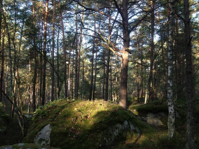 foto10
