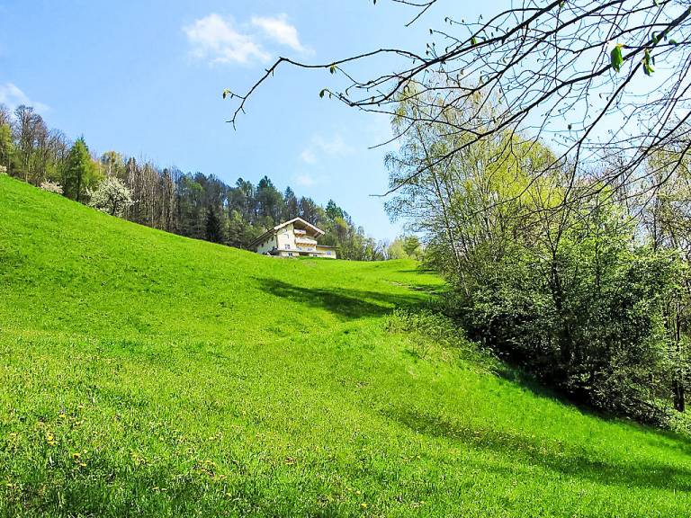 Ferienwohnung Goldegg