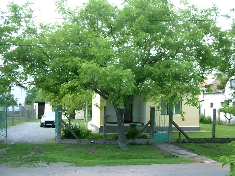Apartman Makkoshotyka