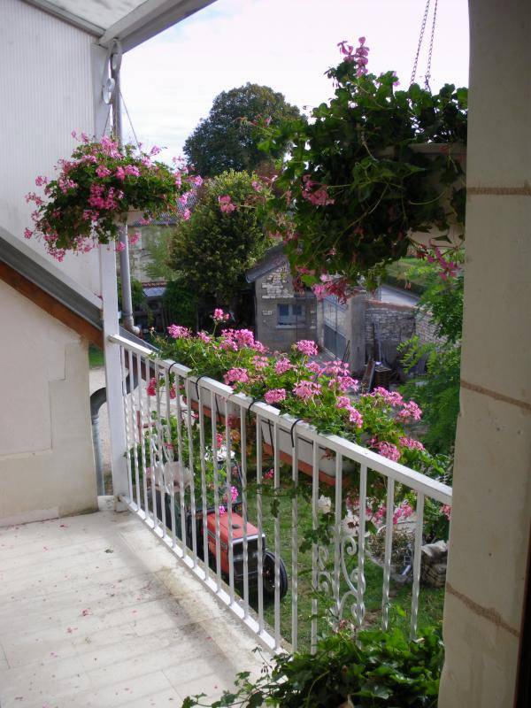 foto2