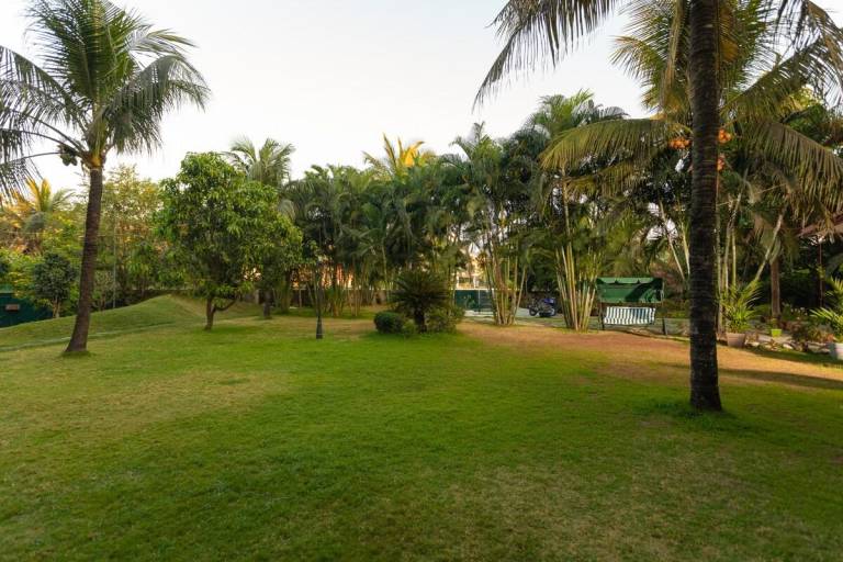 foto29