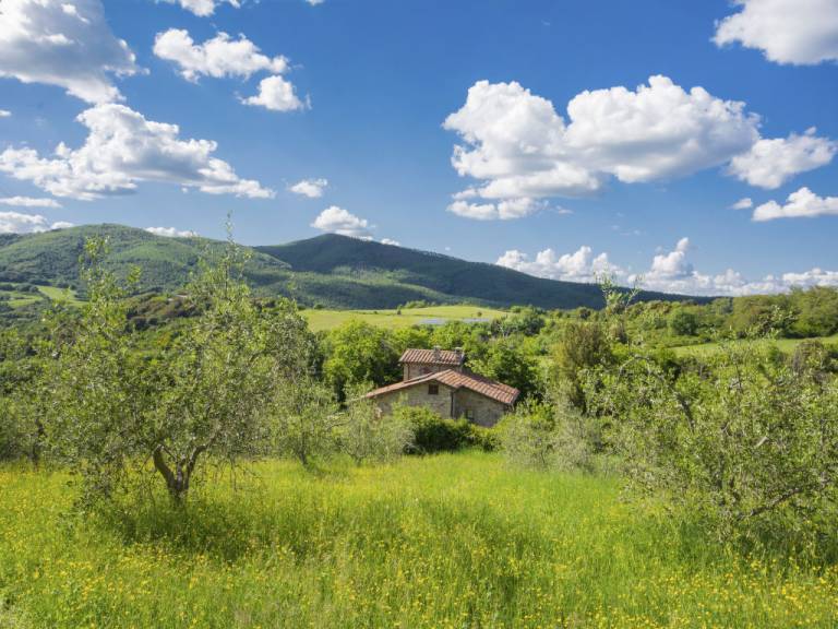 Ferienhaus Roccastrada