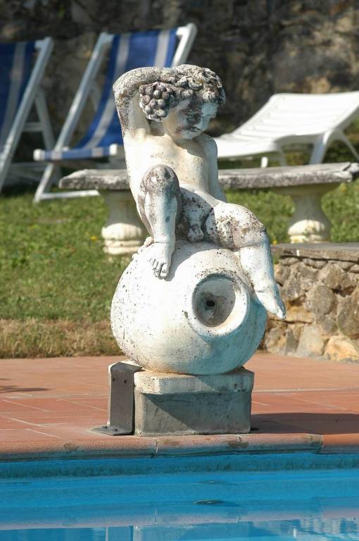 foto31