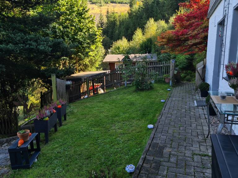 foto5