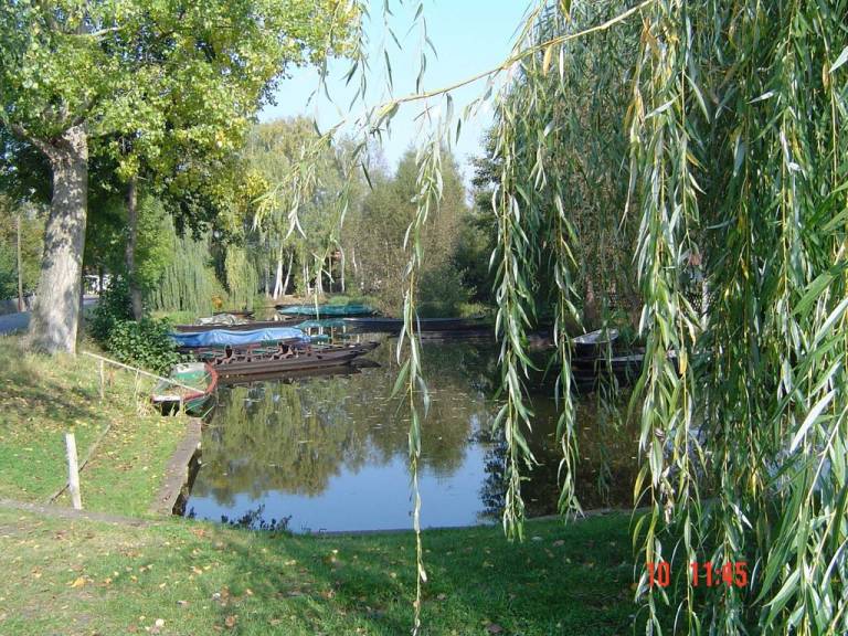 foto31
