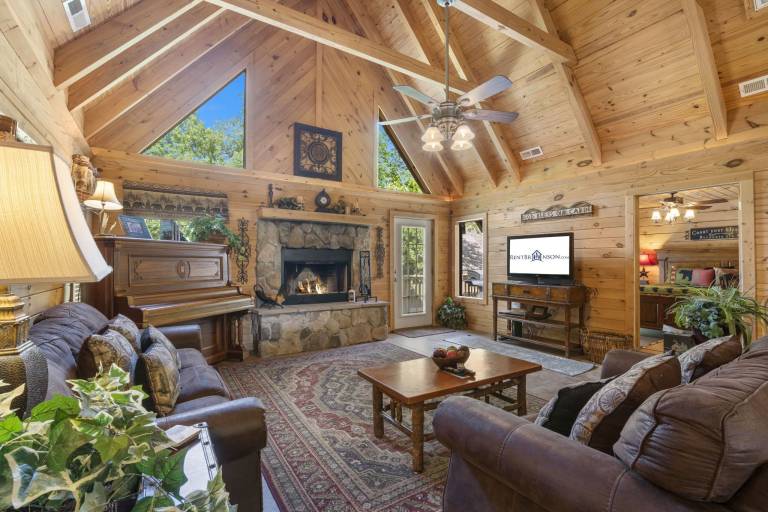 Cabin Ridgedale