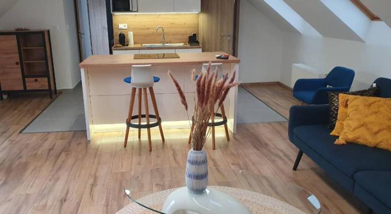 Lovely apartment | Pets allowed in Pecs