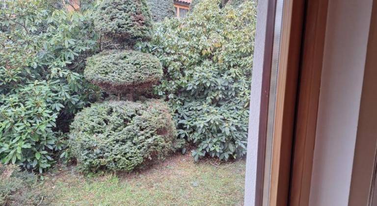 foto31