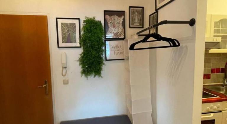 Beautiful apartment | Pets are welcome — photo 4