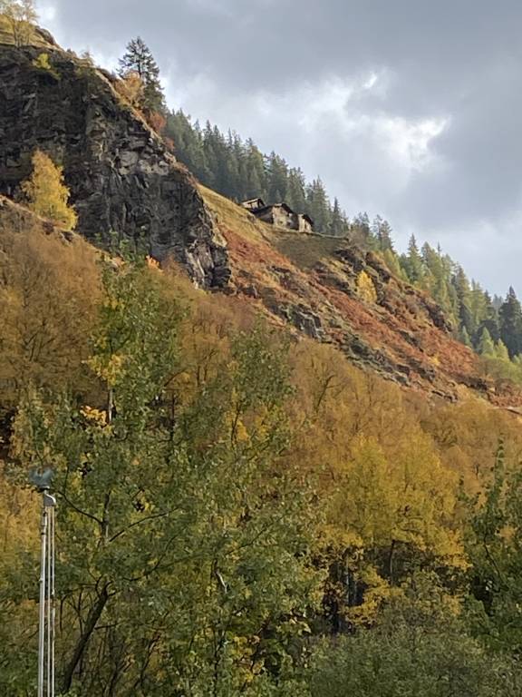 foto48