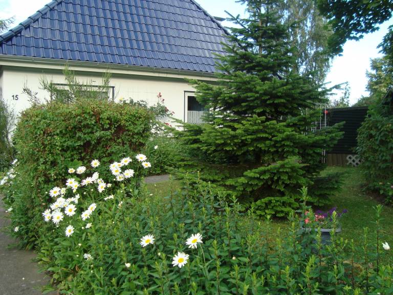 foto22