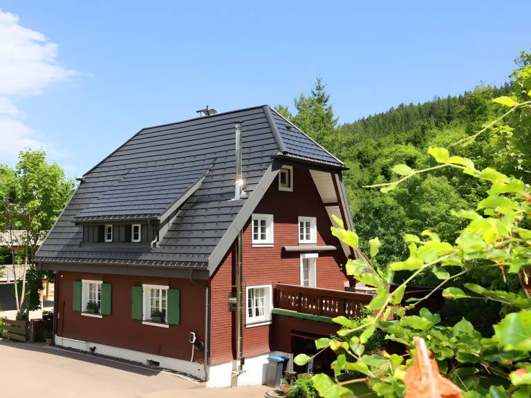 Ferienhaus  Sankt Blasien