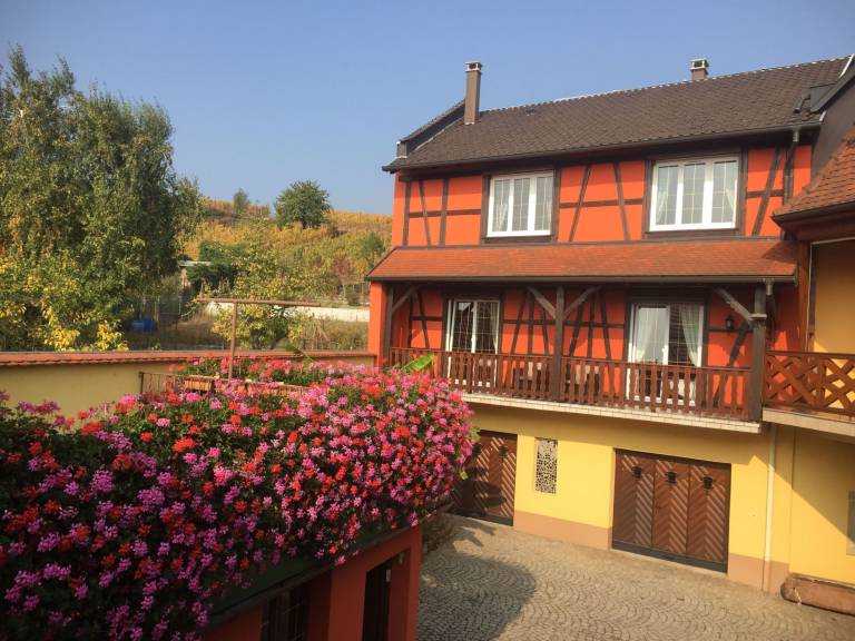 foto15