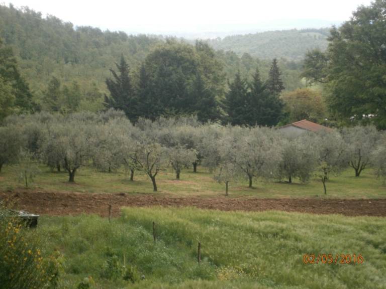 foto13