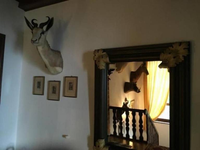 foto33