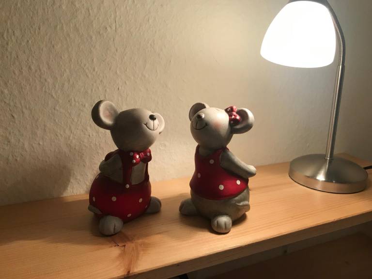 foto12