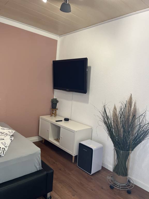 foto11