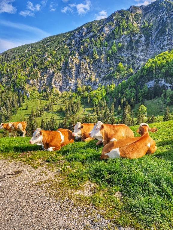 Ferienwohnung in Vorauf f&uuml;r max. 4 Personen