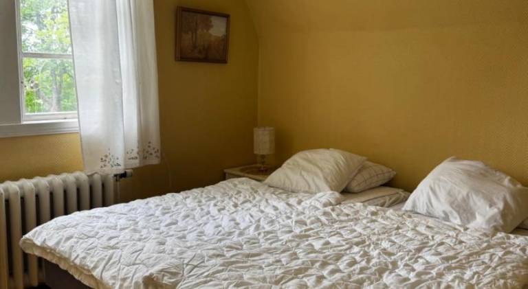foto36