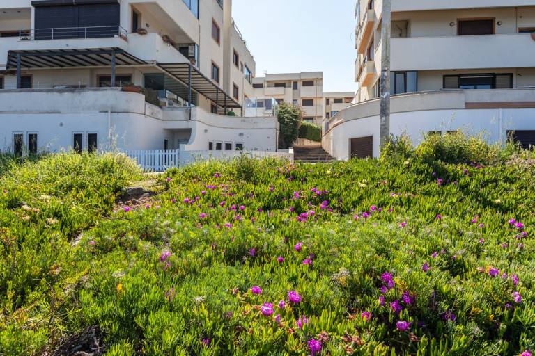Children-friendly wonderful villa with barbeque & garden | Sea view | Pets are welcome — photo 4