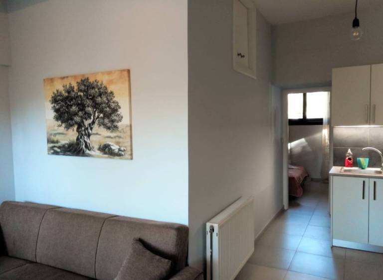 foto17