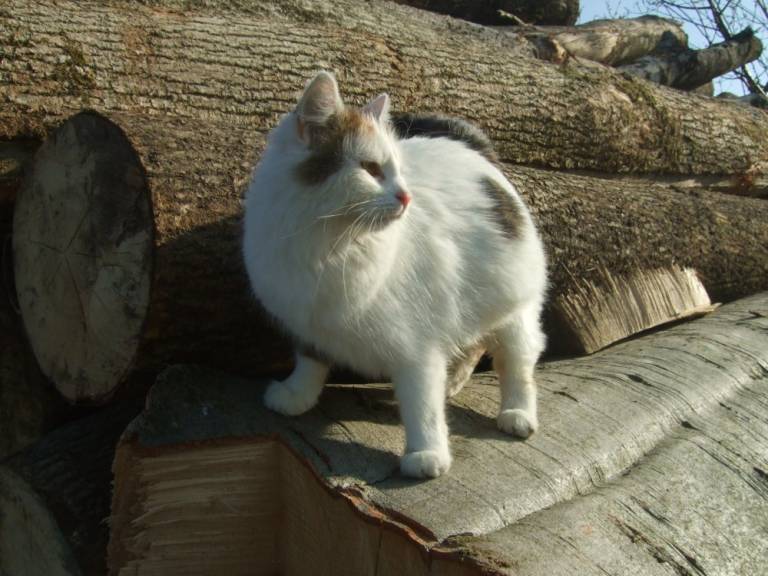foto25