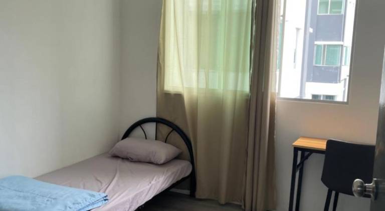 foto11