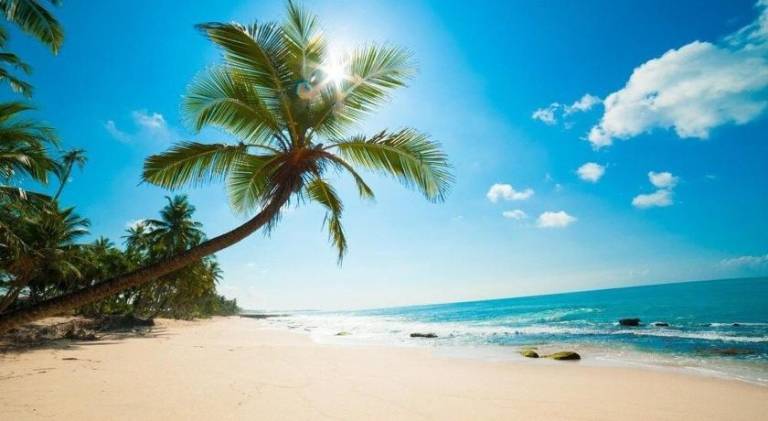Apartment with pool | Close to the beach | Pets are welcome in Ubatuba
