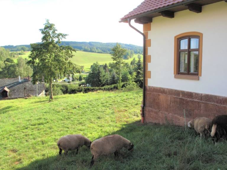 foto13