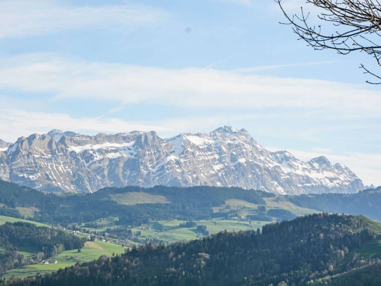 foto18